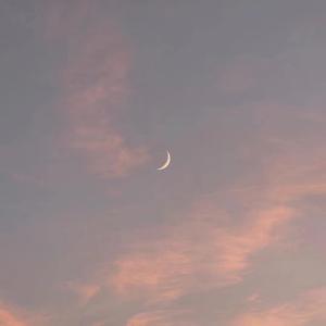 免费的日本网站
