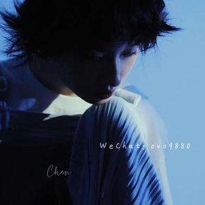 免费的日本网站
