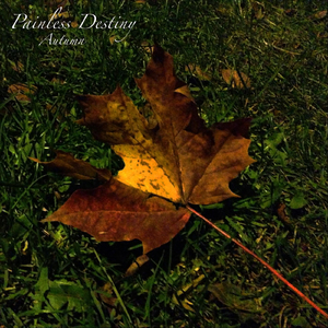 免费的日本网站
